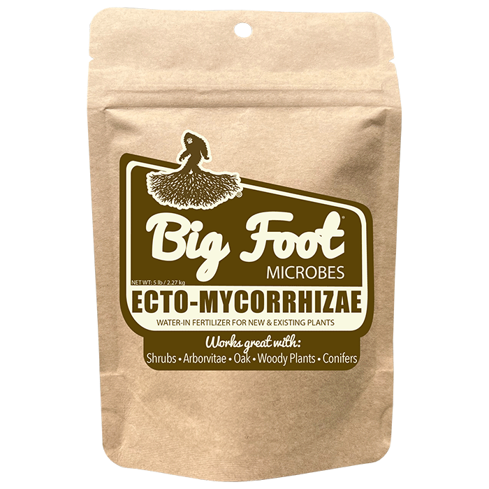 Big Foot Mycorrhizae Ecto-Mycorrhizae