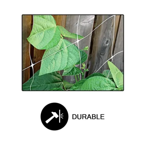Common Culture Bio Trellis Netting Bulk Roll 4 ft x 3,280 ft w/ 6in Squares.