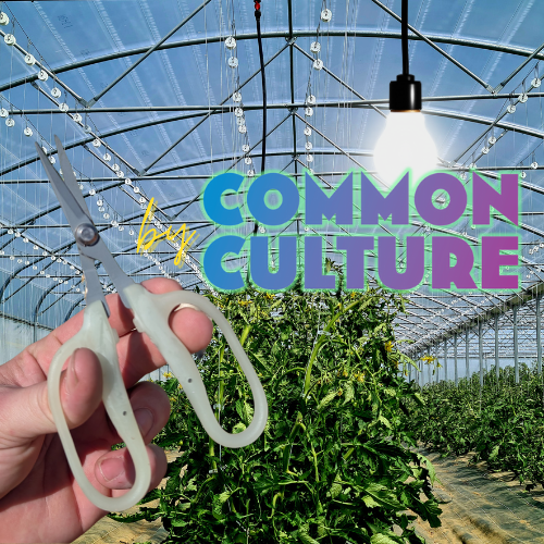 Obsidian Drake Pro Hort Scissors - Non-Stick Fluorine L-Shape Blade - by Common Culture.