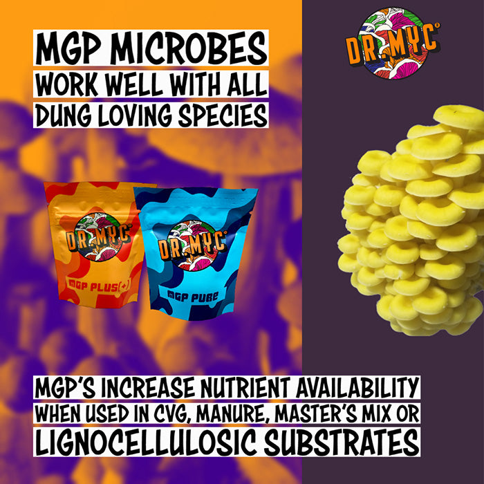 Dr. Myc MGP Plus Microbes, 10 Grams