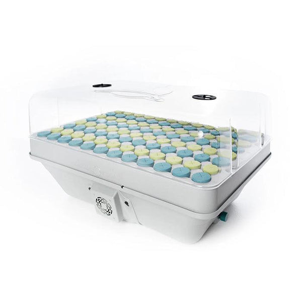 Automated Plant Cloning Systems - Easy Propagation
