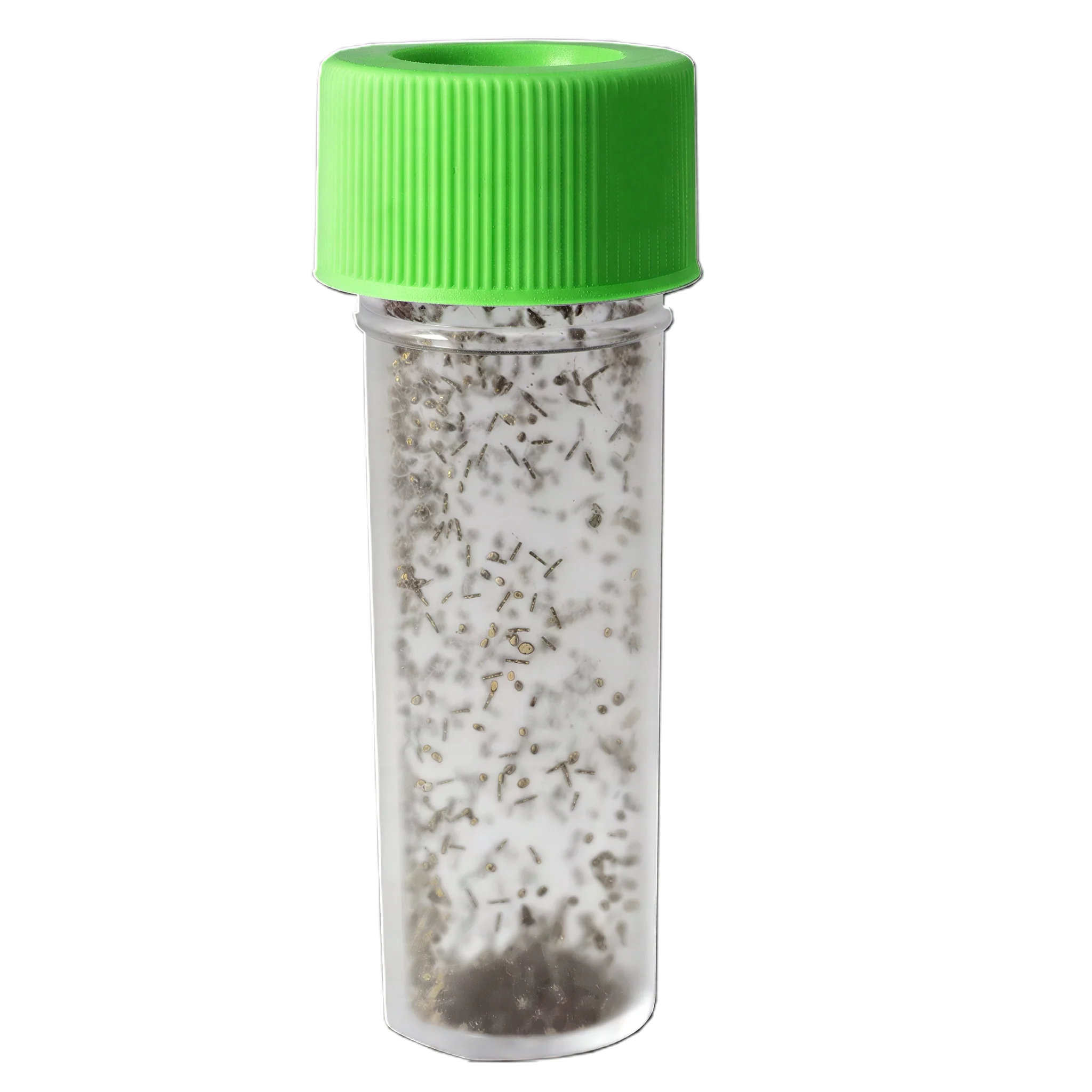 Tip Top Bio-Control Aphidius Ervi Beneficial Parasitic Wasps