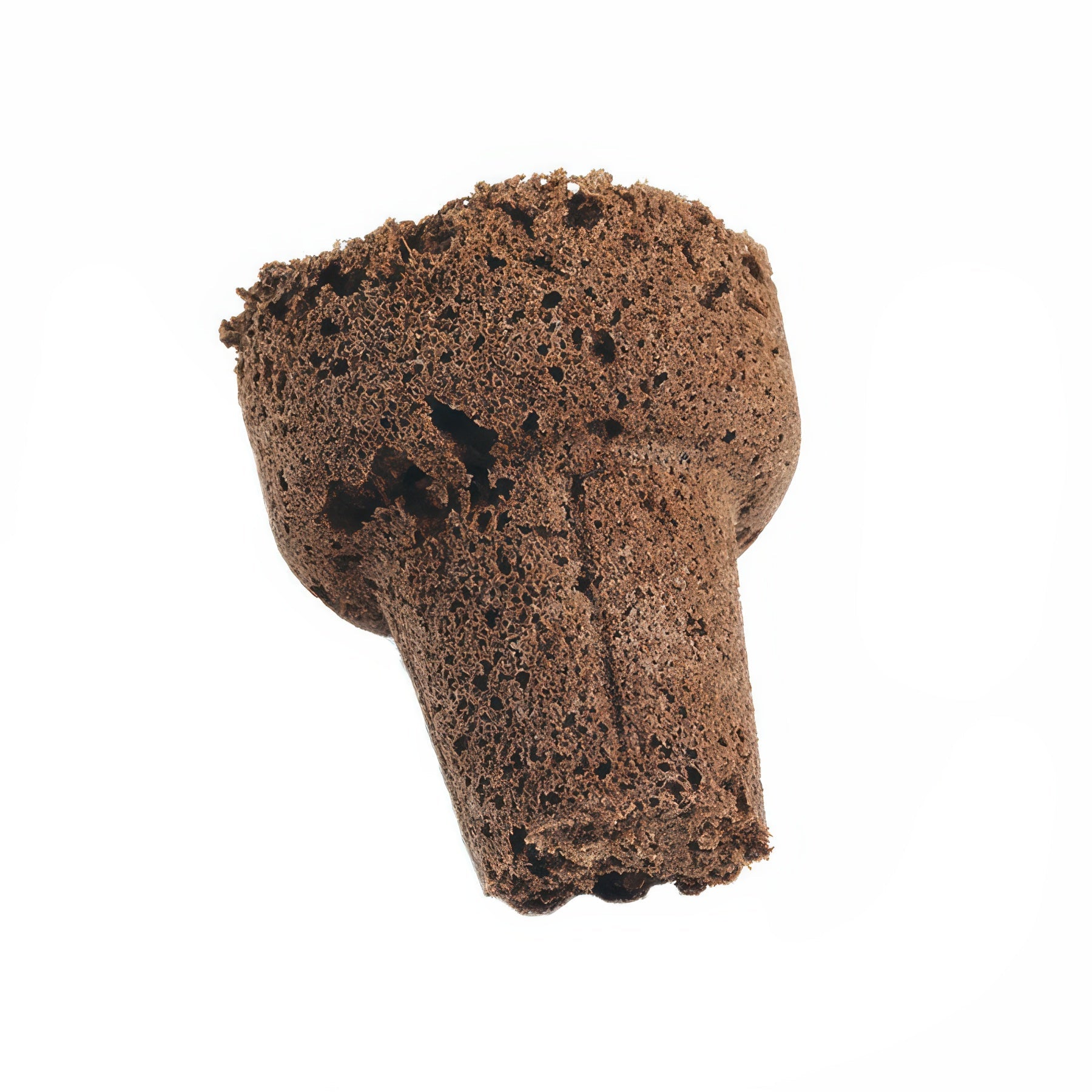 EZ-Clone Propagator Pro Cloning Collar