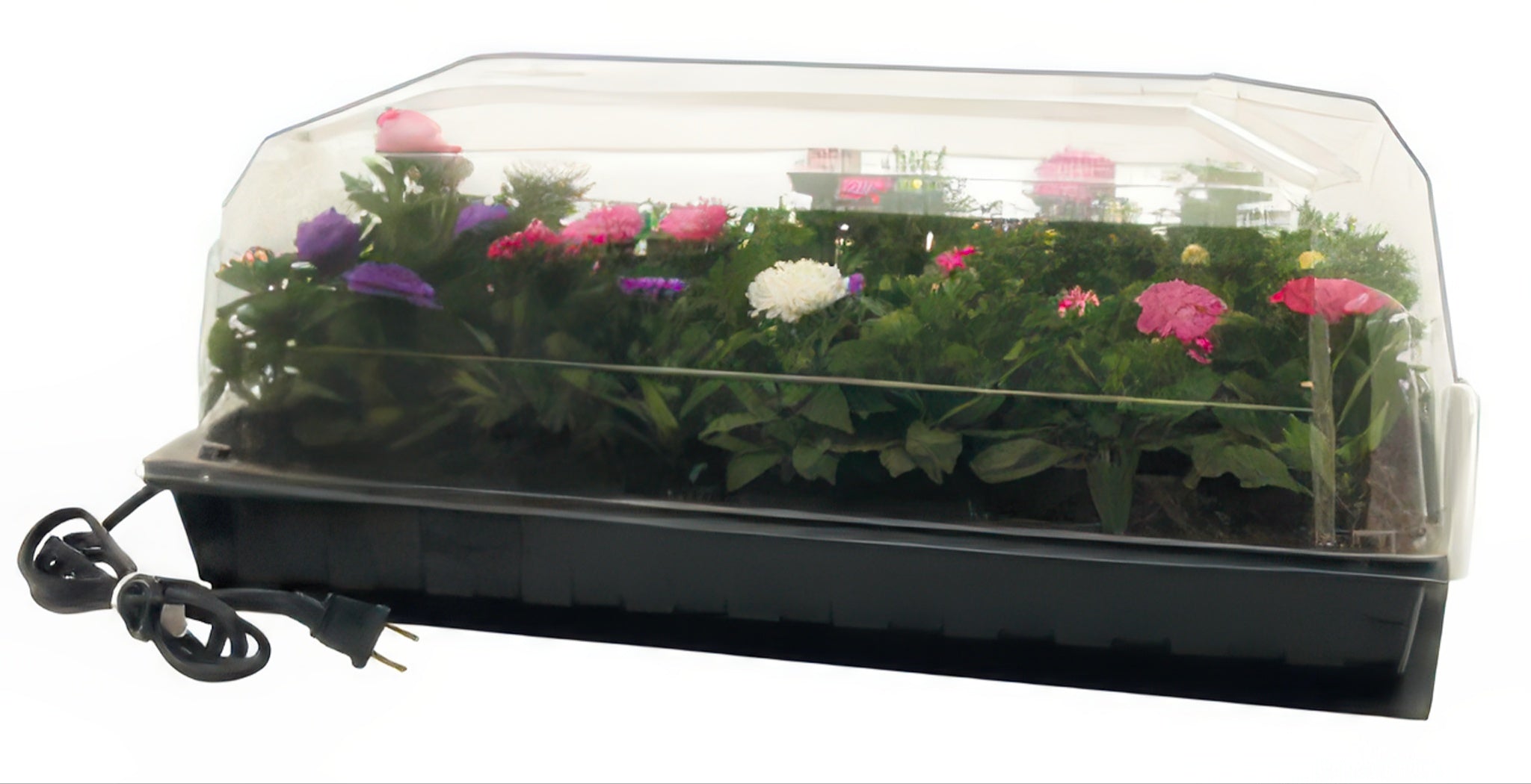 Hydrofarm Hot House w/ Heat Mat, tray, 72 cell pack, 7" dome