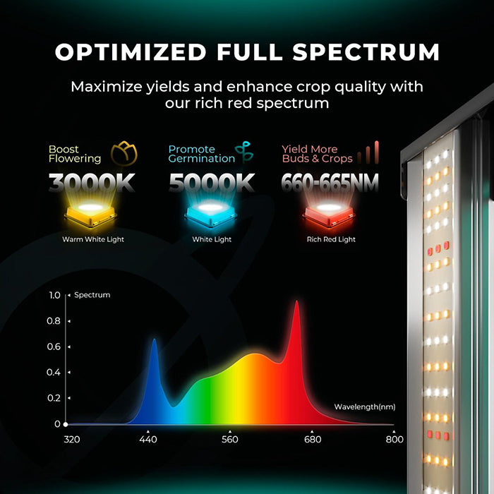 Mars Hydro Smart FC3000-EVO Samsung LM301H 300 Watt LED Grow Light