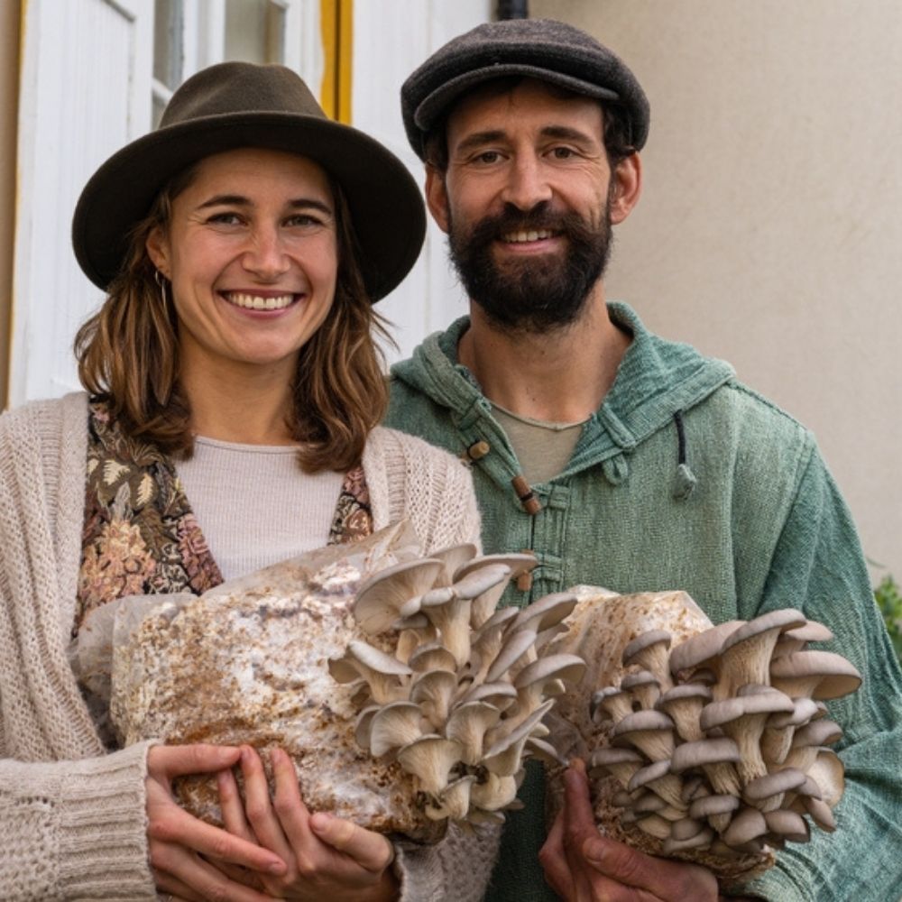 Blue Oyster Mushroom Grow Kit Fruiting Block - 5 LBS.