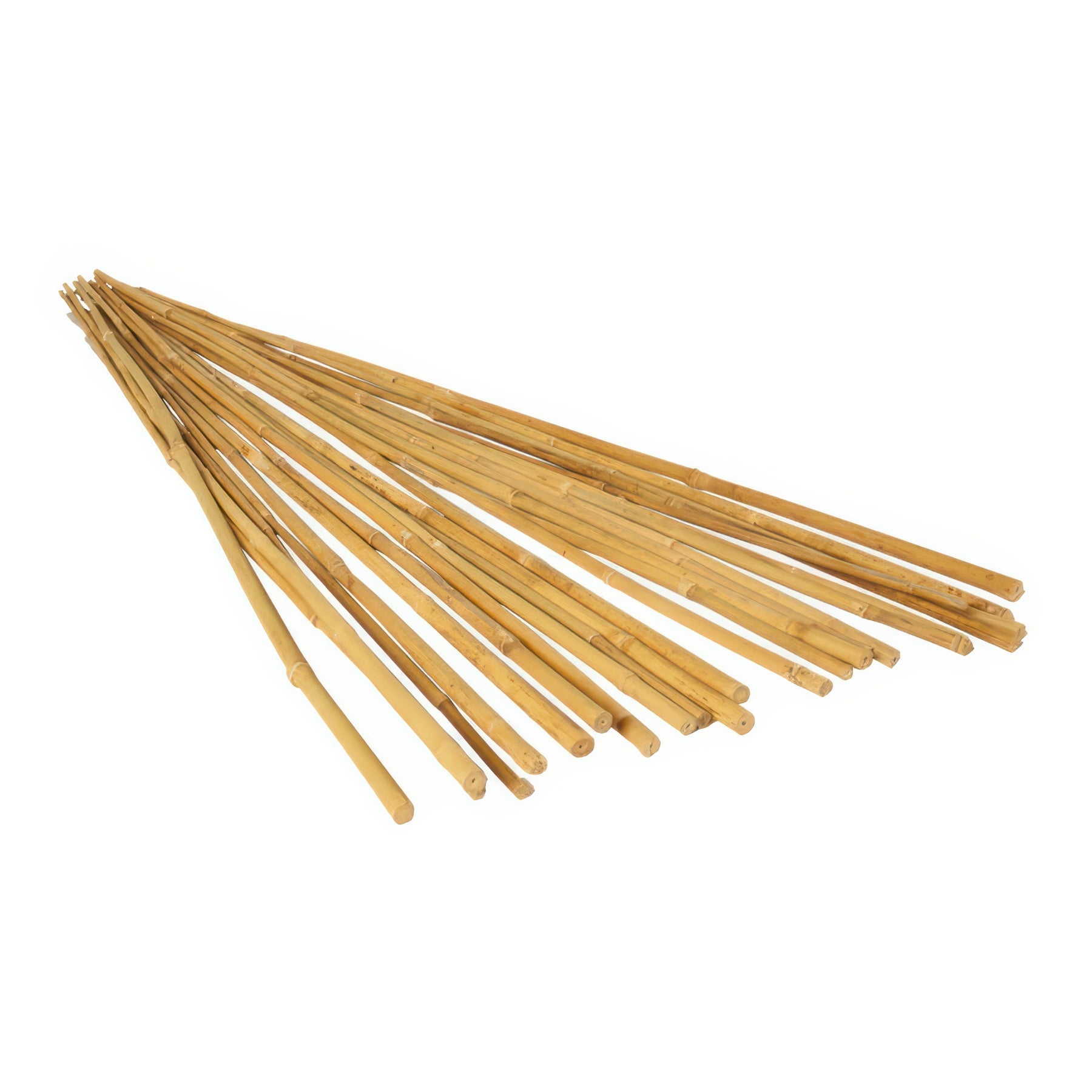 GROW!T Natural Bamboo Stakes