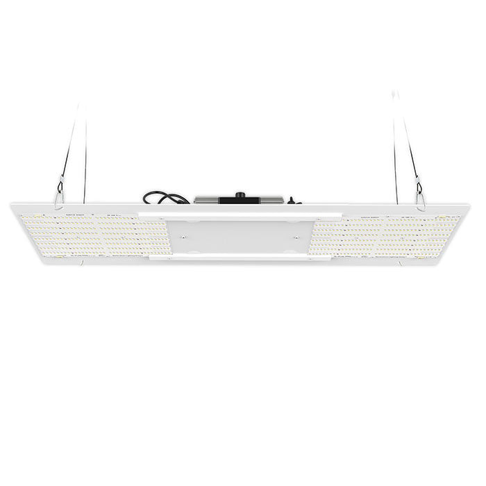 Horticulture Lighting Group HLG 250 Veg Pro LED Grow Light, GrowFlux Module, 120/240 Volt