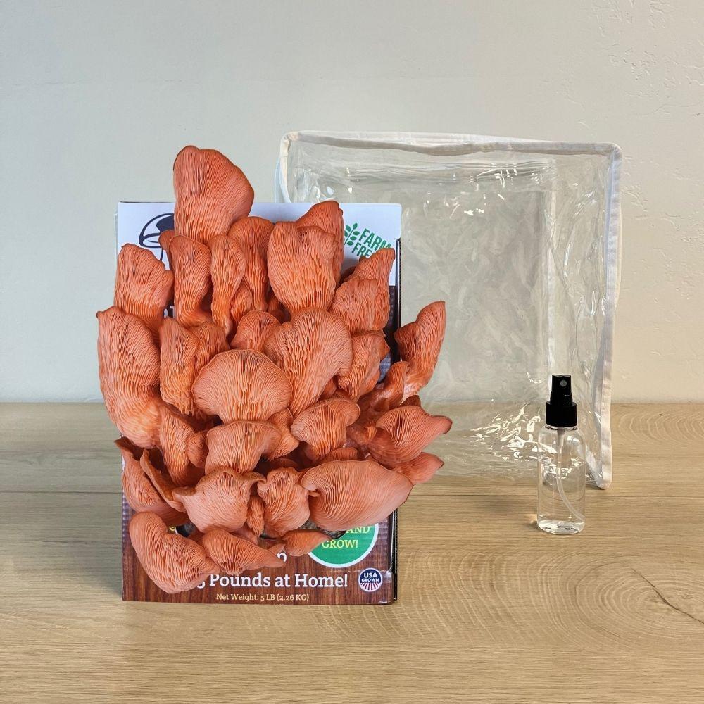 3 Pack - Lion's Mane, Pink, and Blue Oyster Mushroom Growing Kit - 15 LBS.