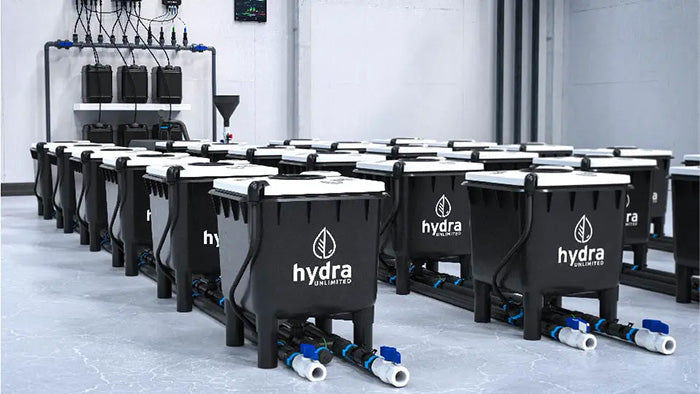 HydraMax Professional RDWC Hydroponic System, 3-Row, 21-Site System