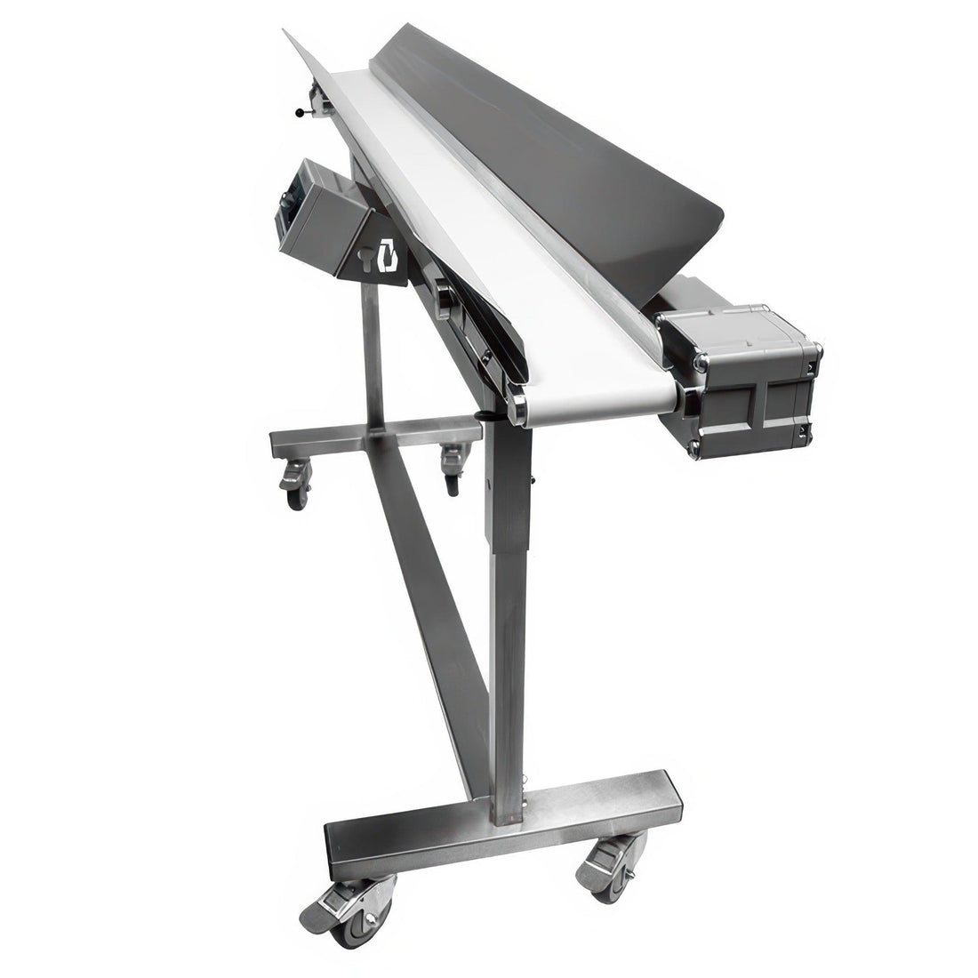 Mobius Infeed Conveyor Package for M108S Trimmer