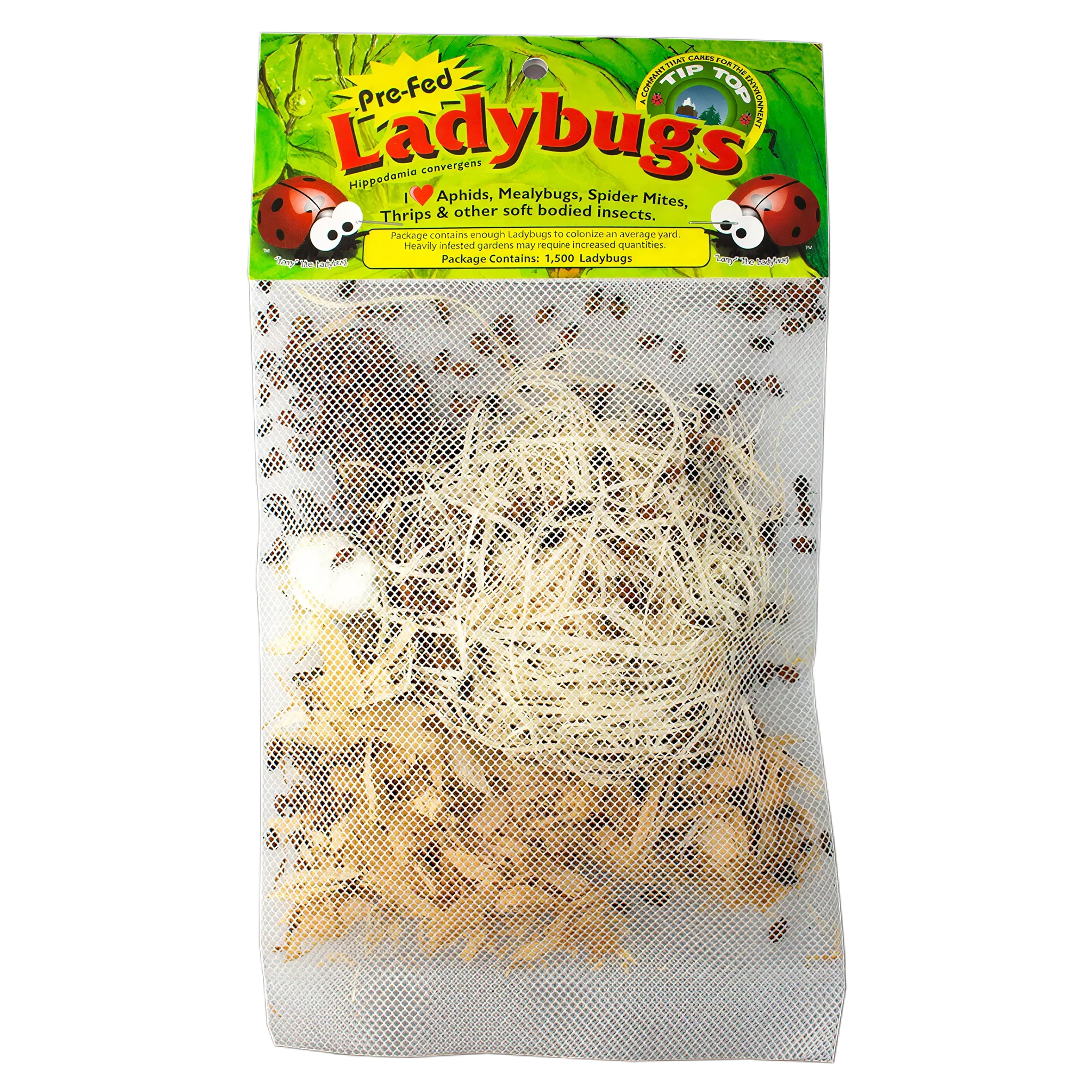Tip Top Bio-Control Pre-Fed Ladybugs, Pack of 72,000