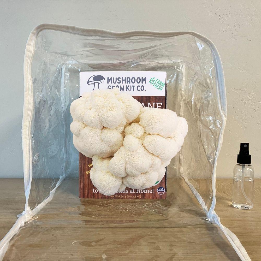 Lion's Mane Mushroom Growing Kit - 5 LBS Spray and Grow.