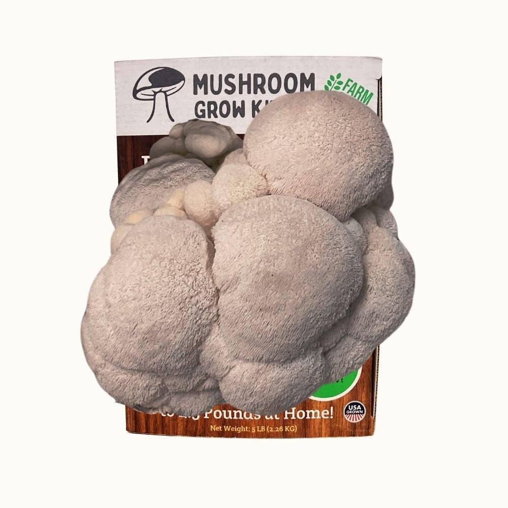Lion's Mane Mushroom Growing Kit - 5 LBS Spray and Grow.