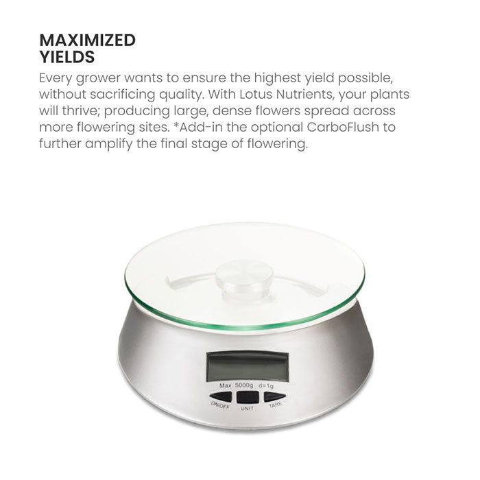 Lotus Pro Series Grow