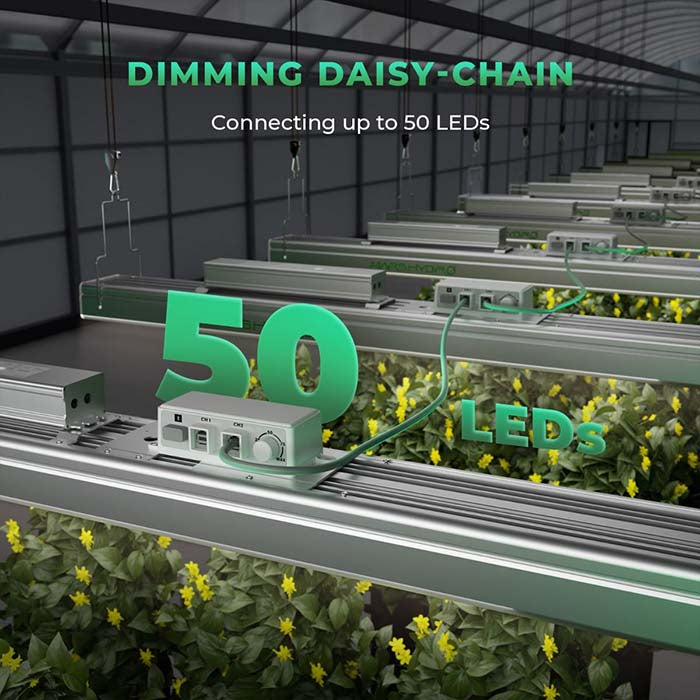 Mars Hydro SP 3000 300 Watt LED Grow Light