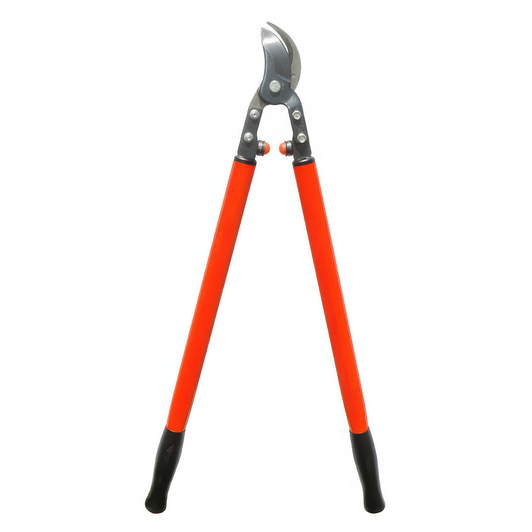 Zenport Industries Professional Orchard and Landscape Tree Lopper, 30 inch