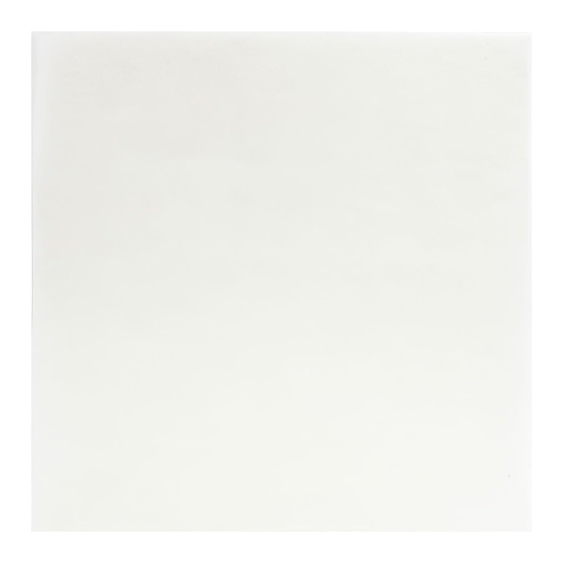 XPOWER Stage 1 Pre-Filter for AP-2000 Air Purifier System