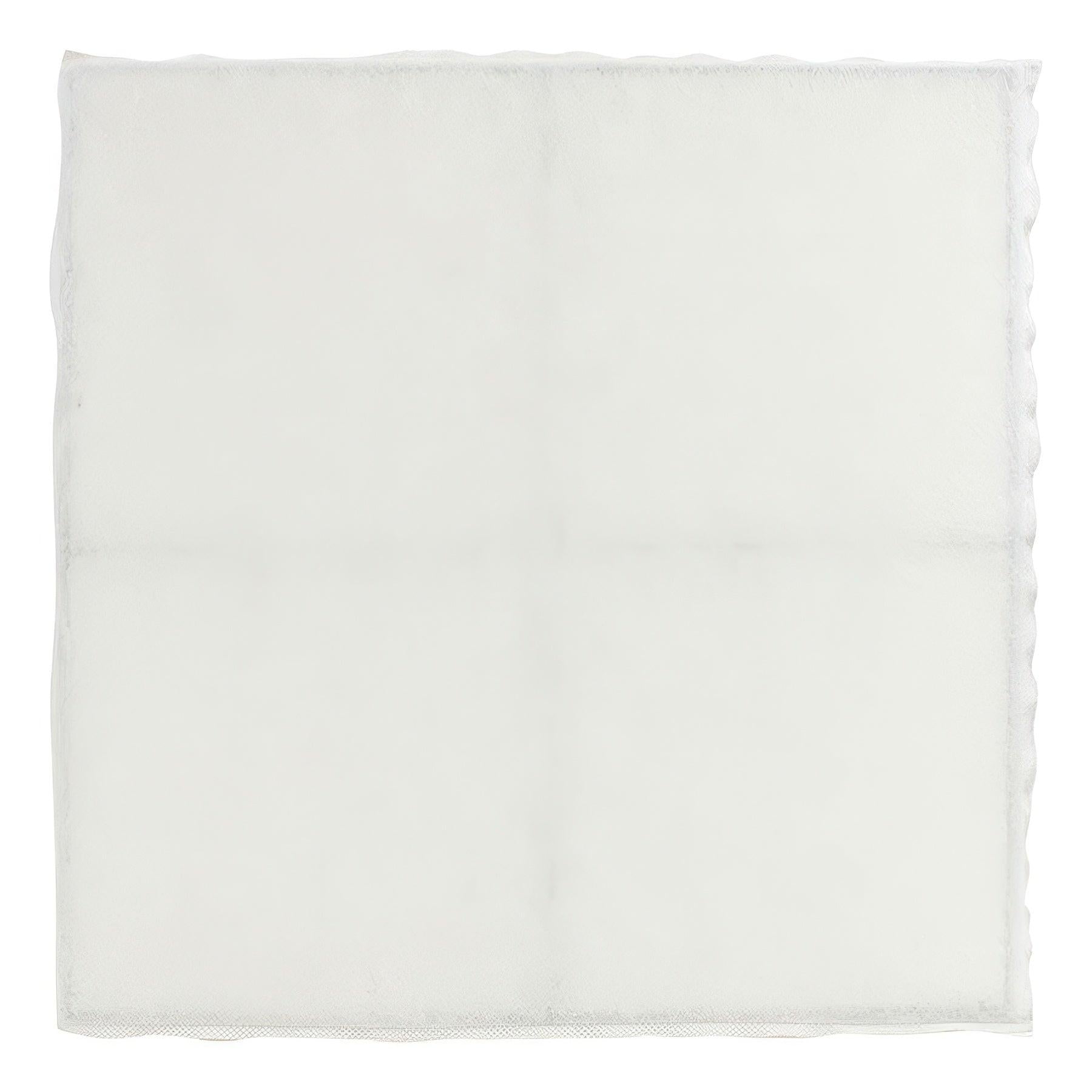 XPOWER Stage 2 Pre-Filter with Frame for AP-2000 Air Purifier System