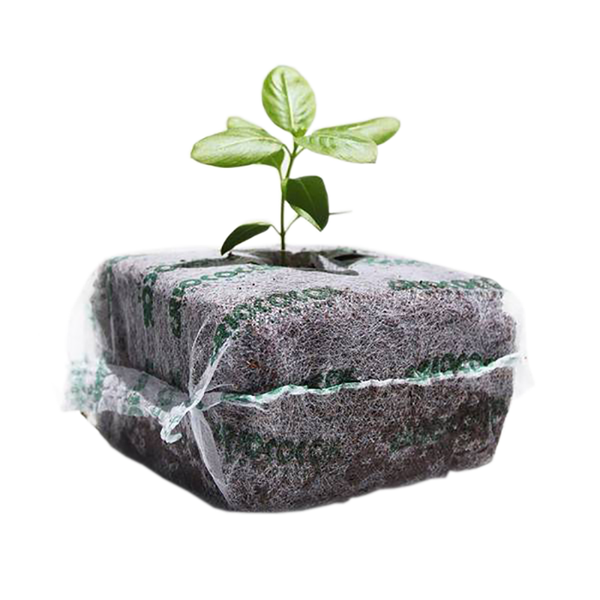 cocoページ RIOCOCO PCM 4 in. x 4 in. Coco Starter Blocks - Pack of 275