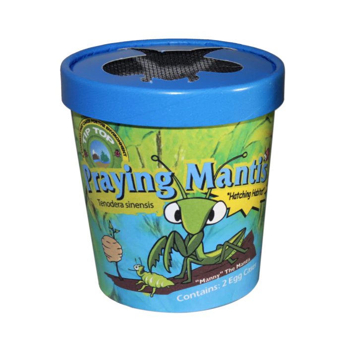 Tip Top Bio-Control Praying Mantis Eggs