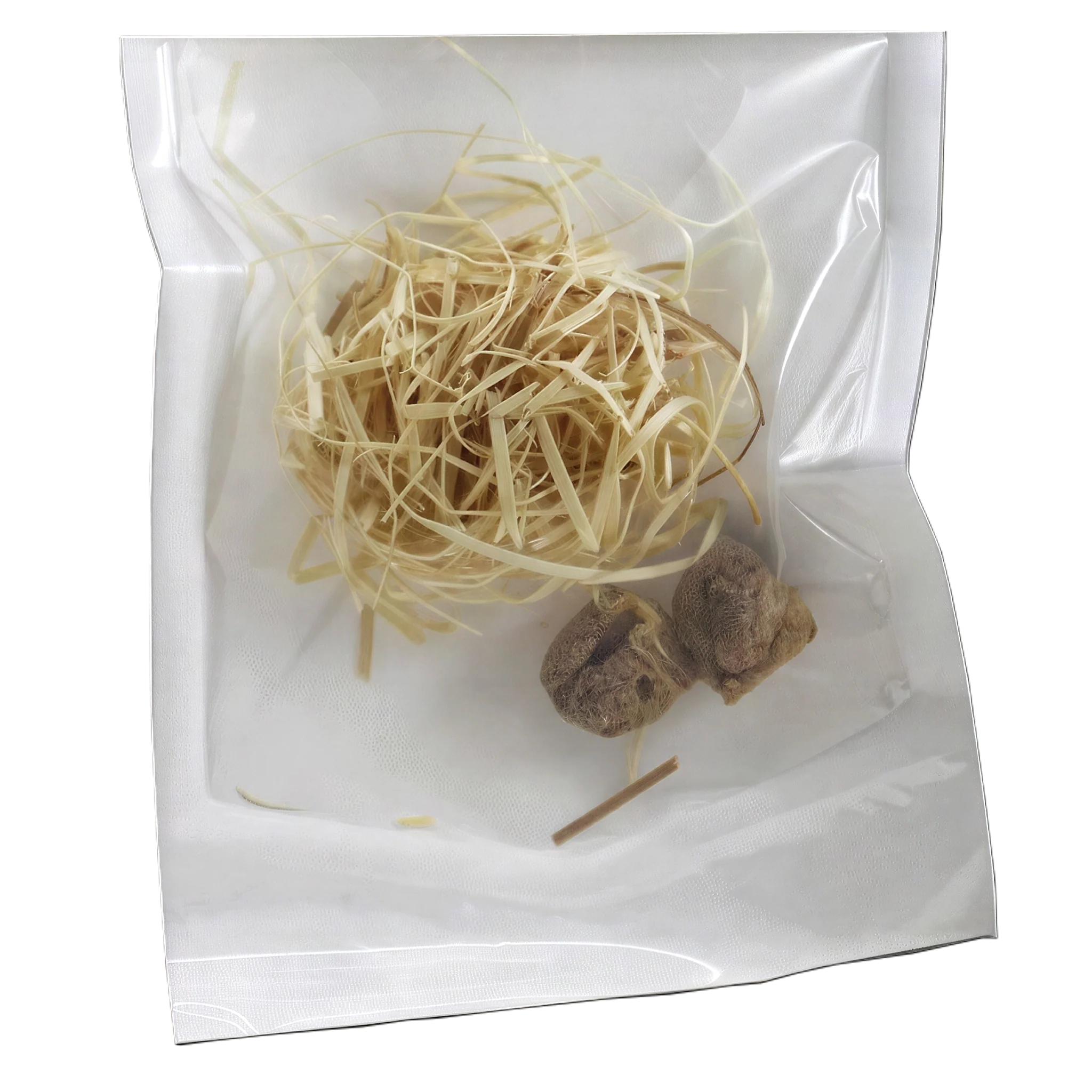 Tip Top Bio-Control Praying Mantis Eggs, Pouch of 2 Egg Cases