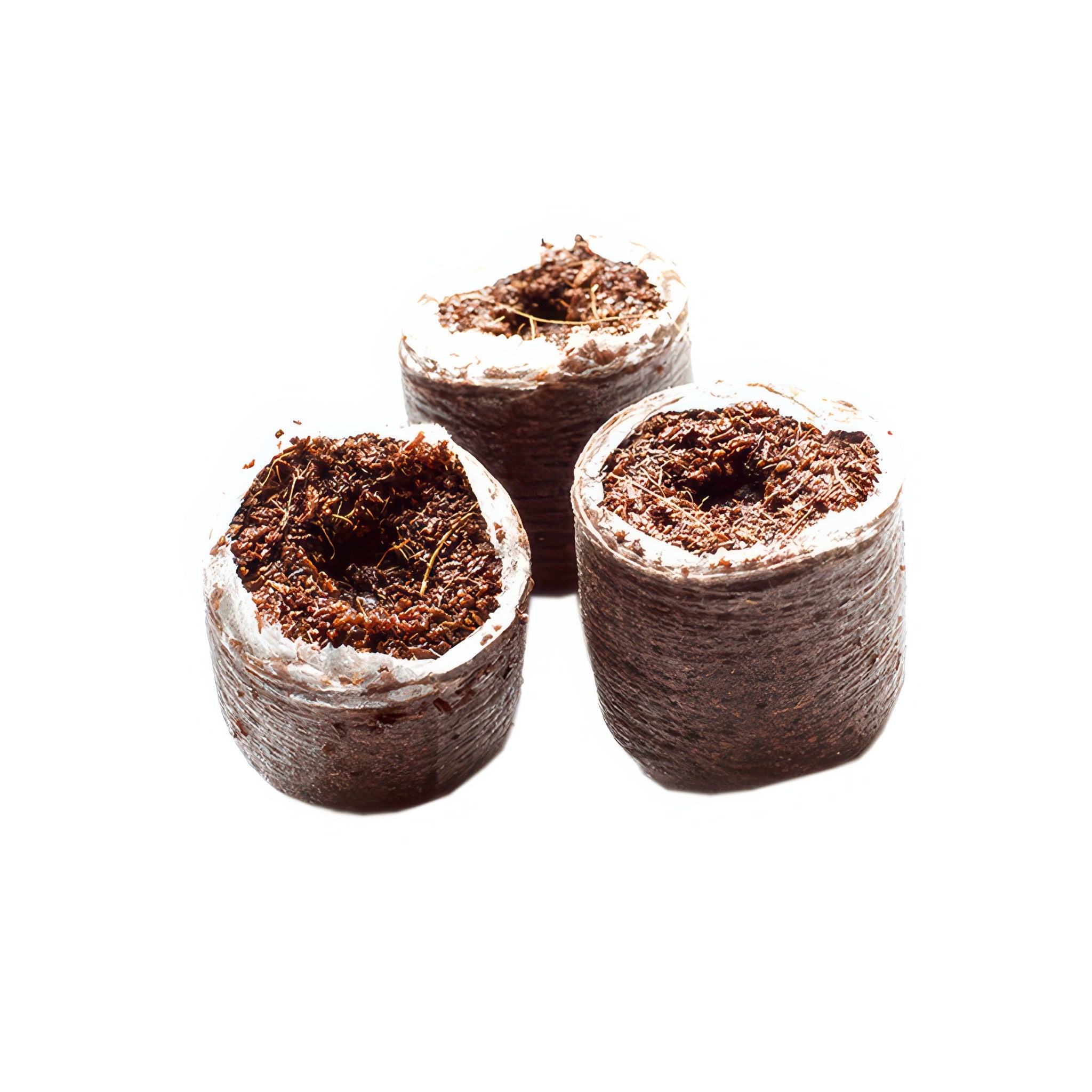 RIOCOCO PCM Coco 1.25" Round Clone & Seedling Plug - Pack of 2500