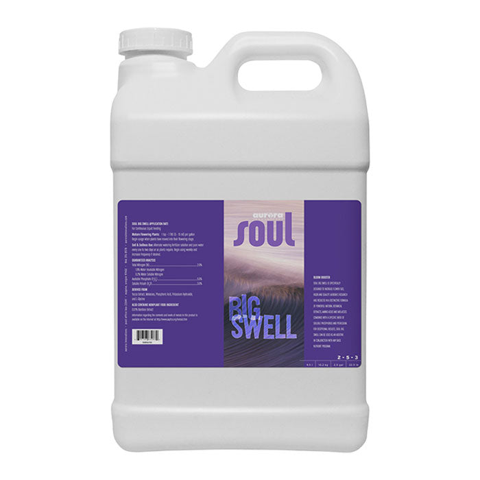 Soul Big Swell