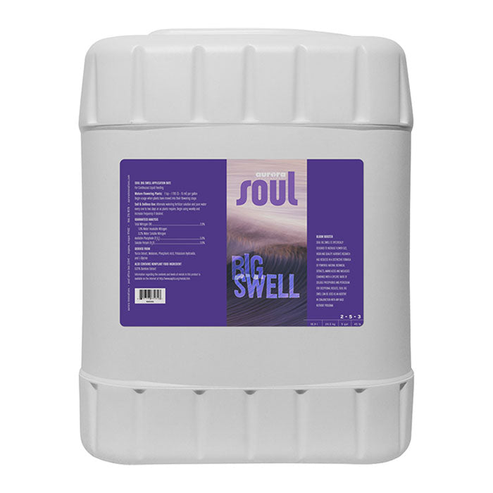 Soul Big Swell