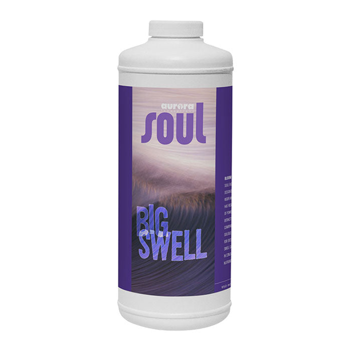 Soul Big Swell