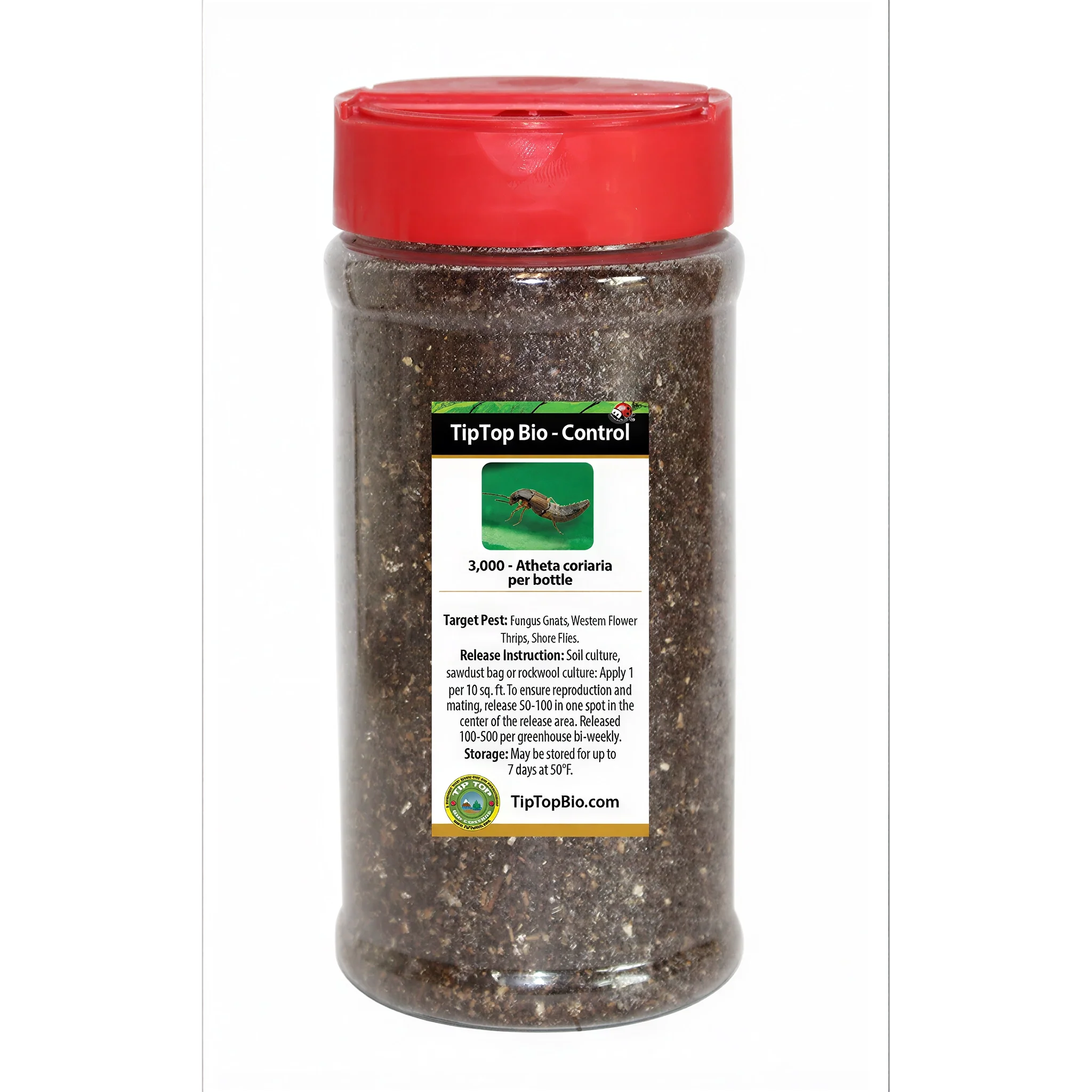 Tip Top Bio-Control Rove Beetle - Dalotia (Atheta) Coriaria Beneficial Insects, Bottle of 100