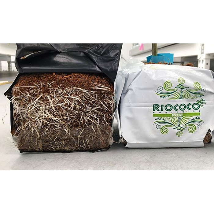 RIOCOCO PCM Closed Top Coco Grow Bag, 1 Gallon - 44 Pack RIOCOCO PCM Closed Top Coco Grow Bag, 1 Gallon - 44 Pack