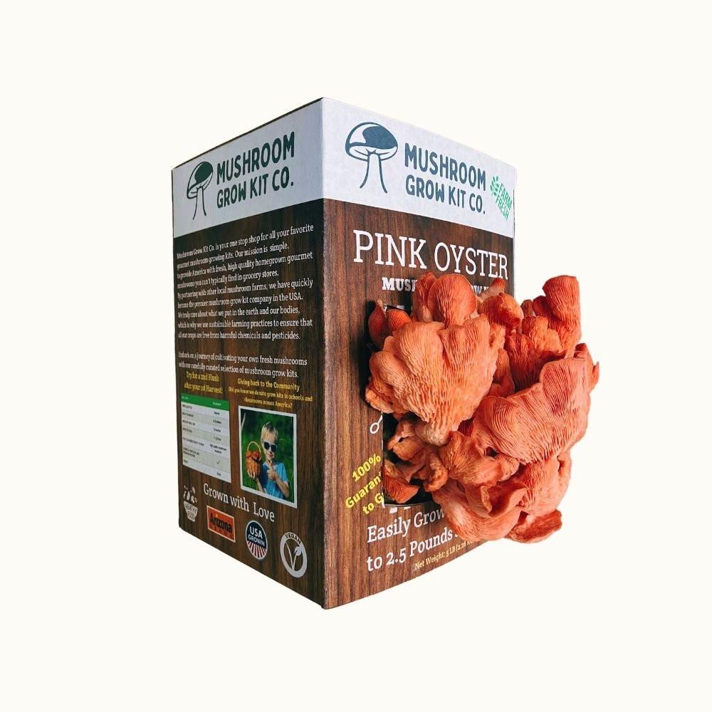 Pink Oyster Mushroom Growing Kit - 5 LBS Spray and Grow.