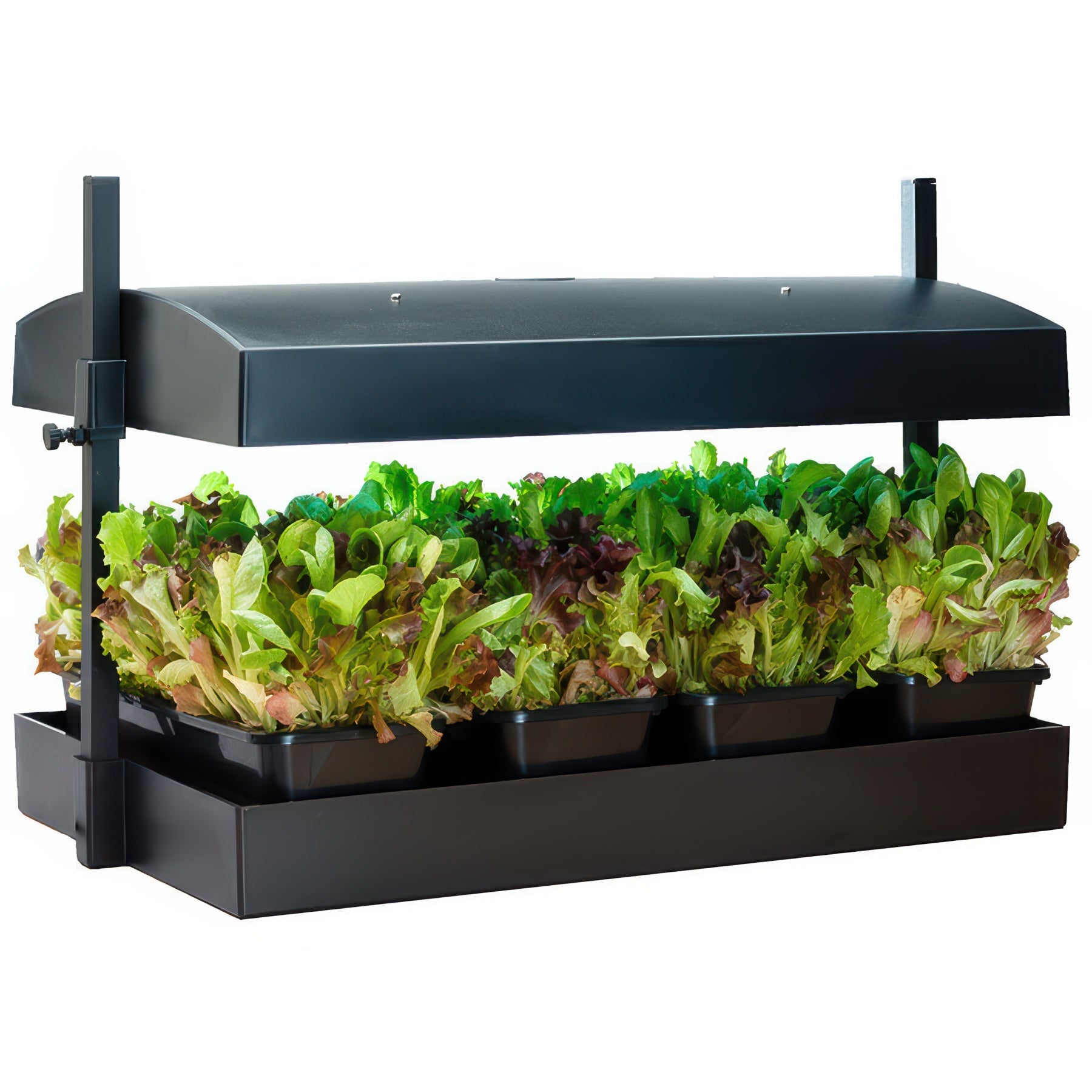SunBlaster Grow Light Gardens