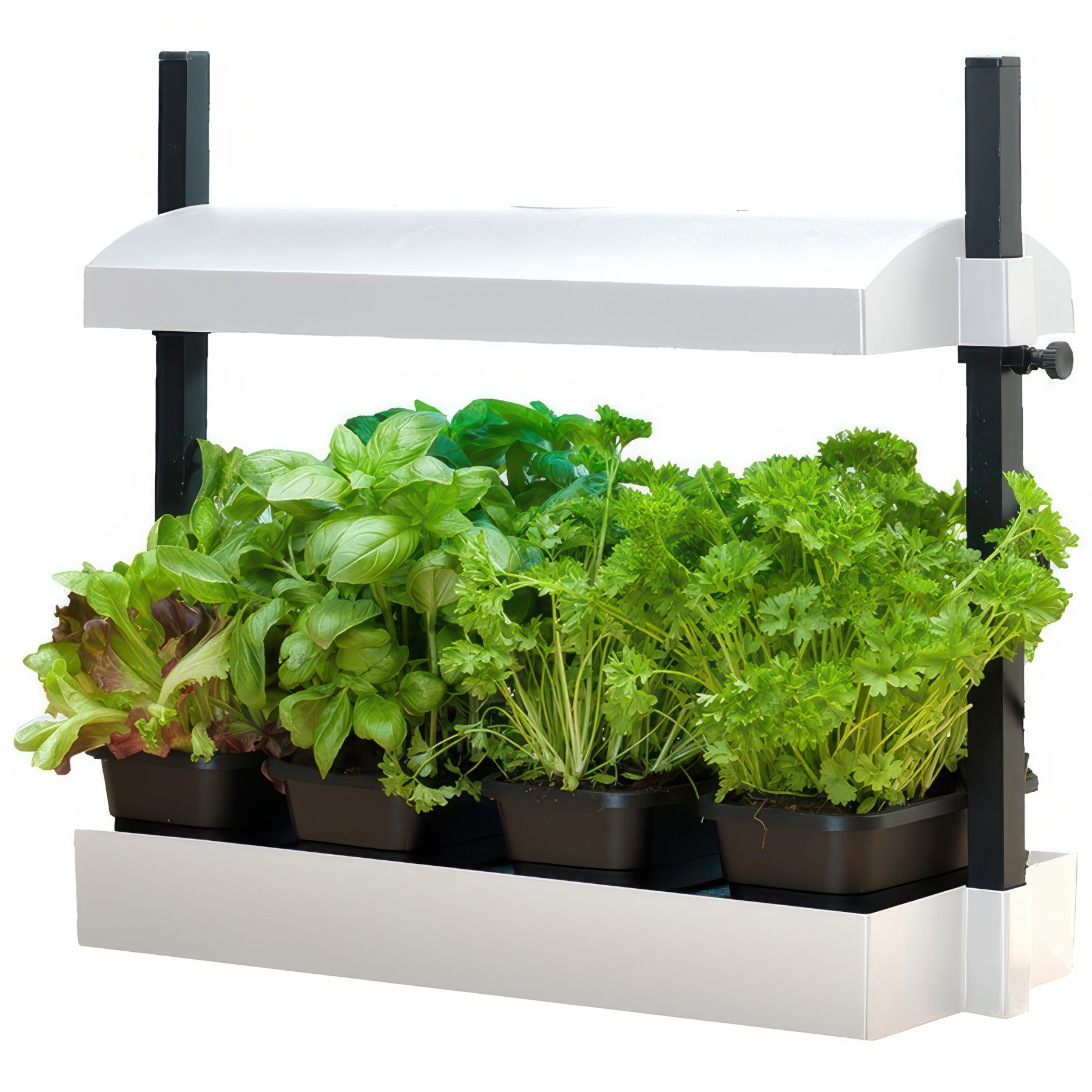 SunBlaster Grow Light Gardens