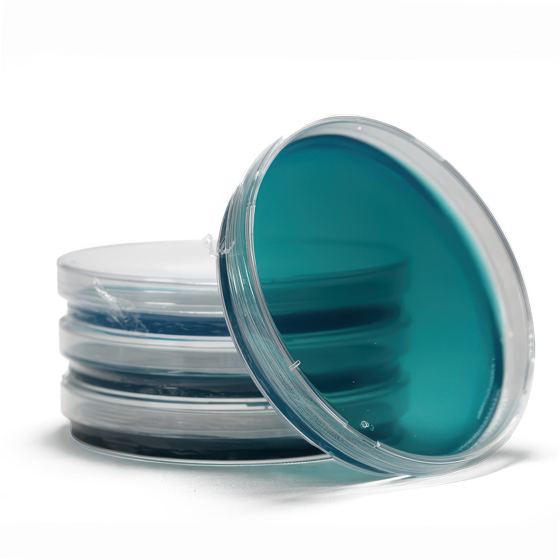 Silly Myco Pre-Poured Agar Plates, Case of 50