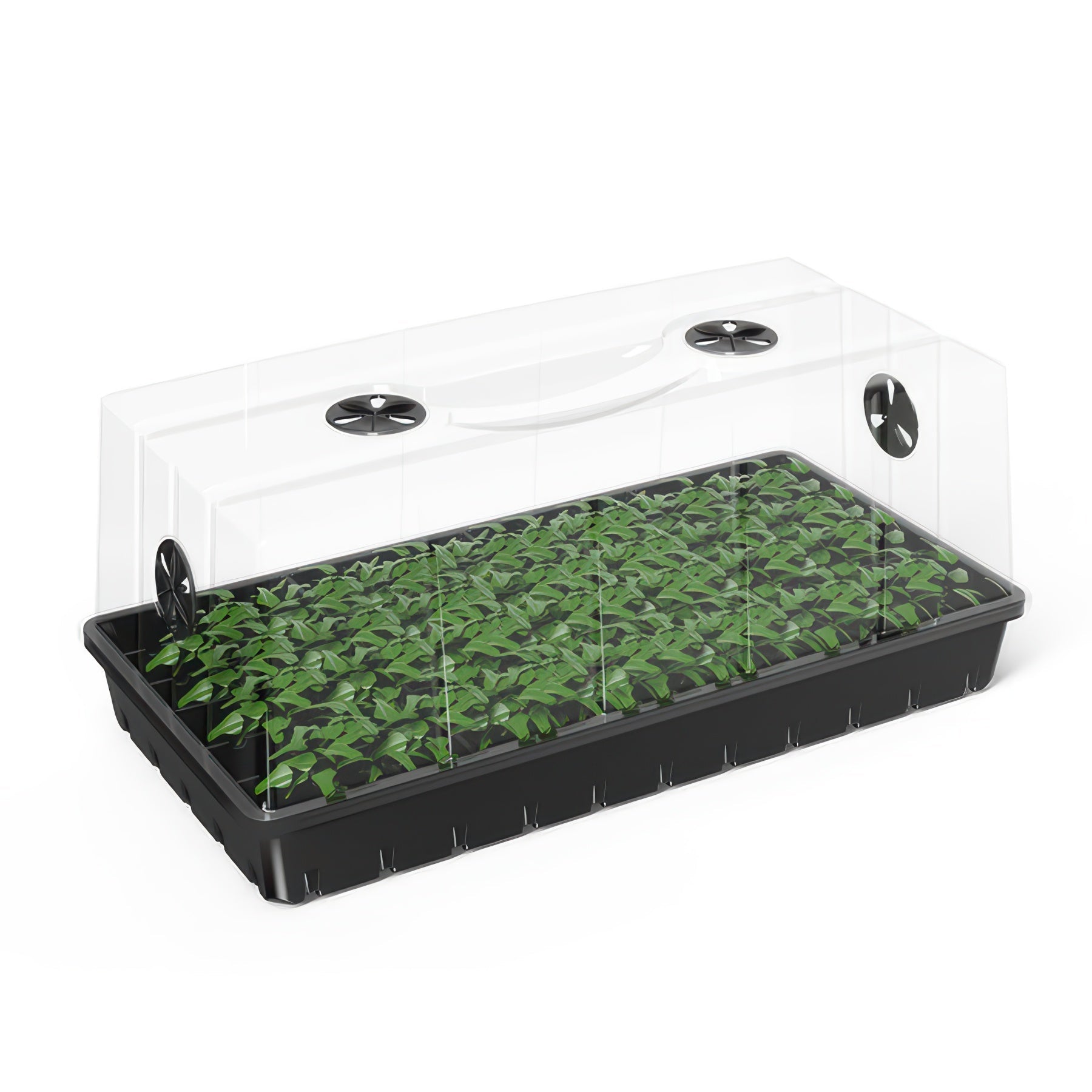AC Infinity Propagation Kit with Humidity Dome, 6x12 Cell Tray (72 Site)