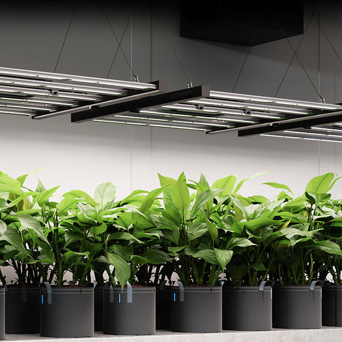 AC Infinity IONFRAME EVO8 730 Watt LED Grow Light With Samsung LM301H EVO Diodes