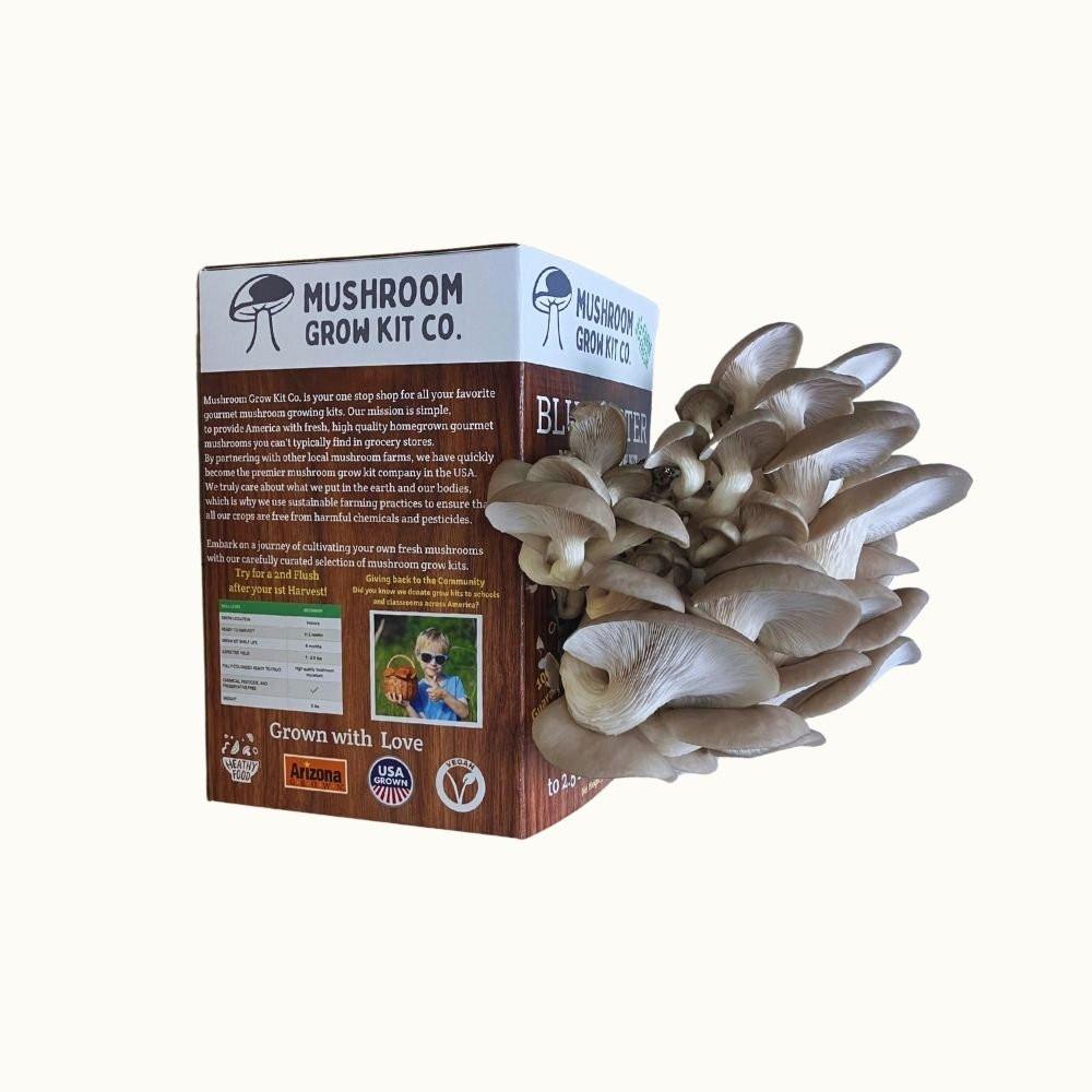 Blue Oyster Mushroom Growing Kit - 5 LBS Spray and Grow.