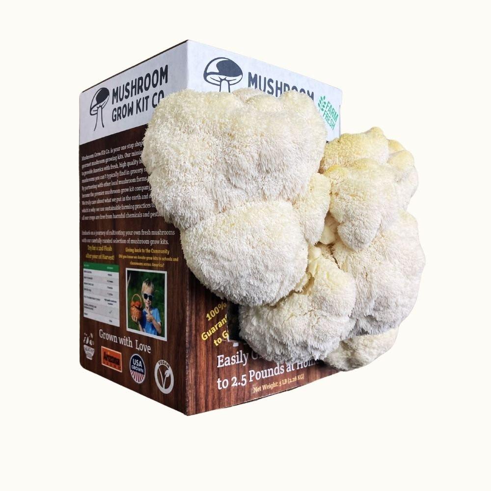 Lion's Mane Mushroom Growing Kit - 5 LBS Spray and Grow.
