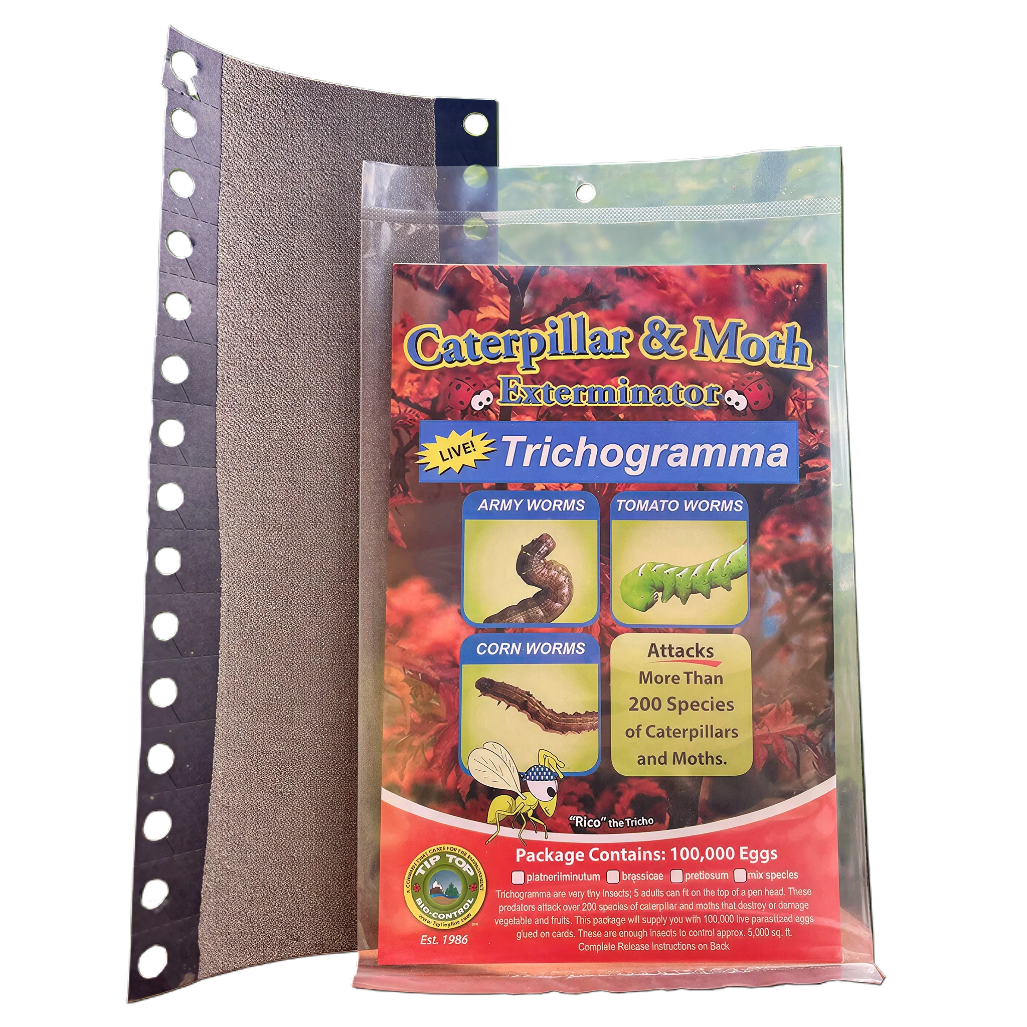 Tip Top Bio-Control Trichogramma Platneri/Minutum For Caterpillar & Moth Control, Hanging Card of 10,000