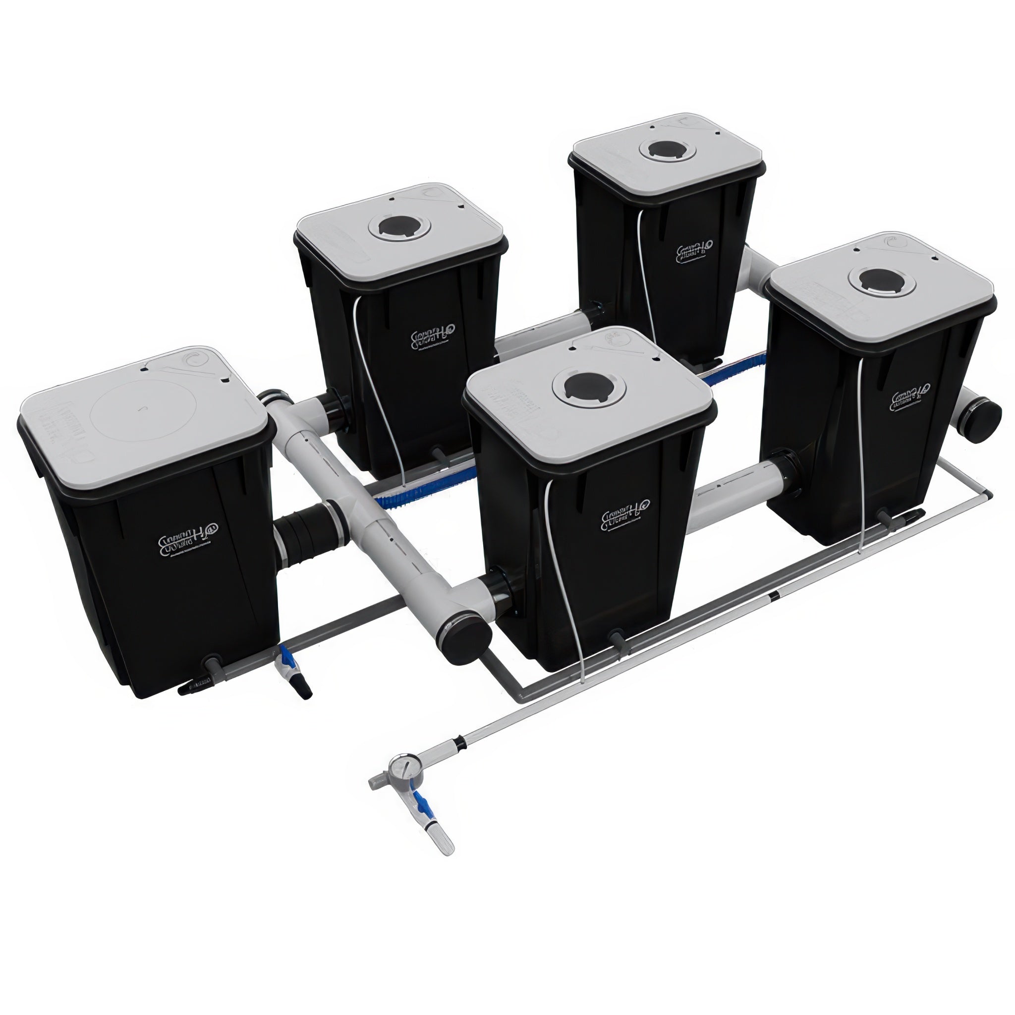 Current Culture Under Current UCXL13 RDWC System