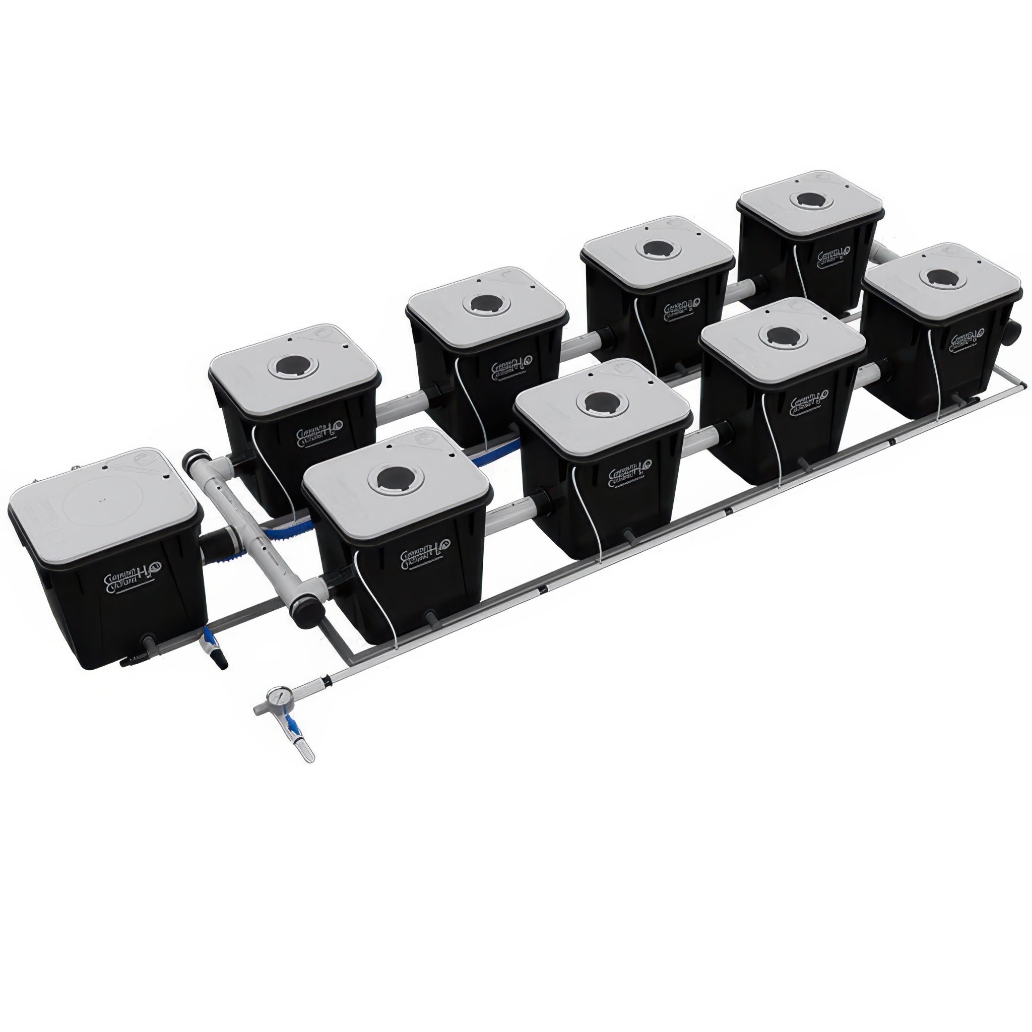 Current Culture Under Current UCXL RDWC System