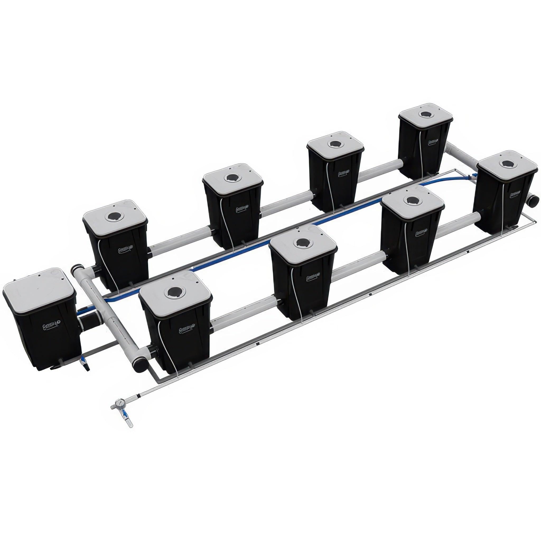 Current Culture Under Current UCXXL13 RDWC System