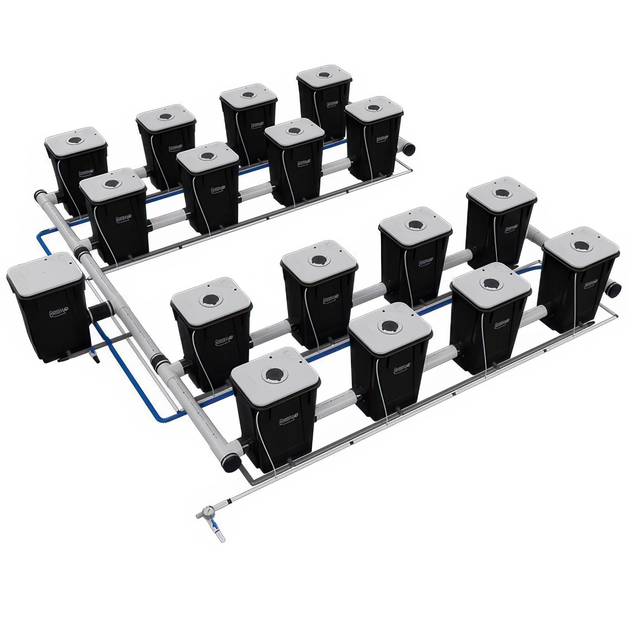 Current Culture Under Current UCXL13 RDWC System, 16-Site, 4-Row