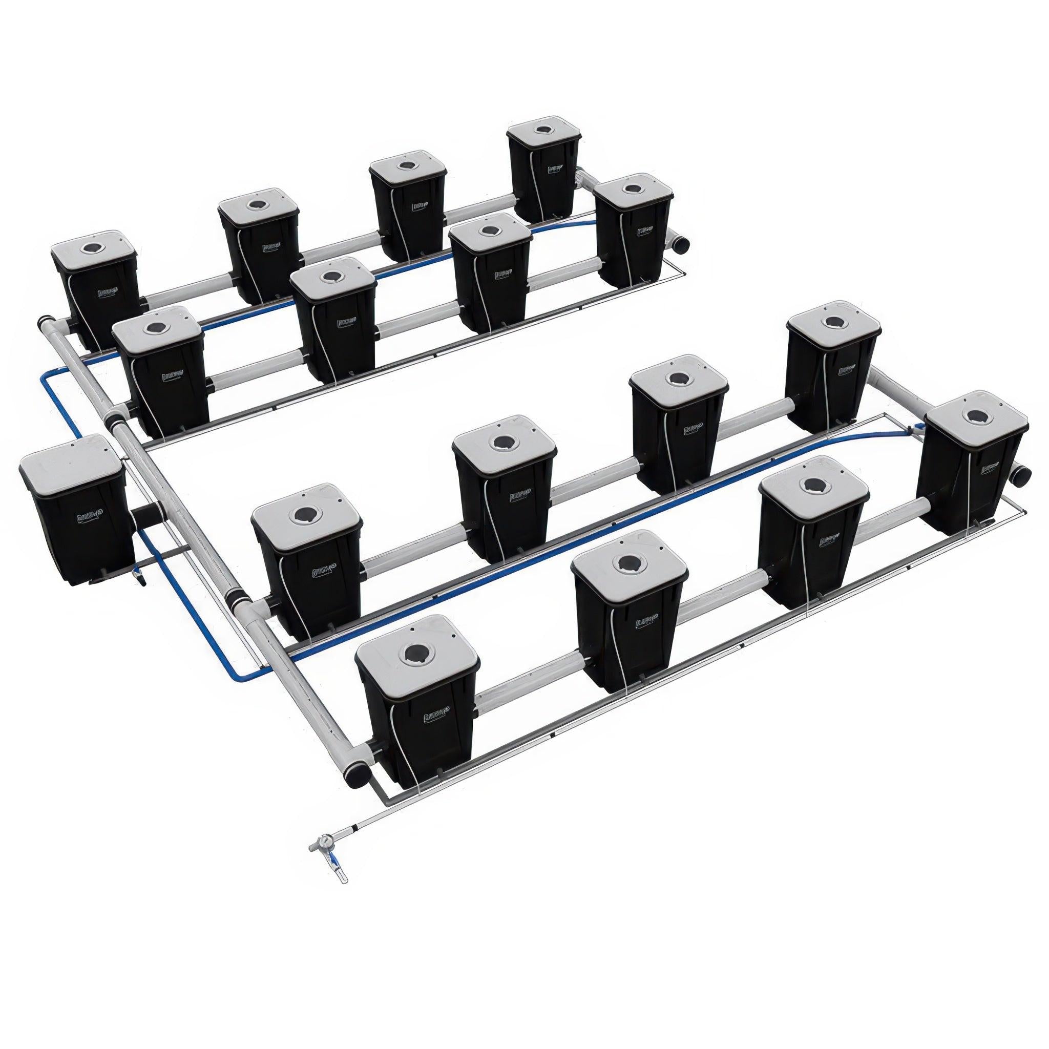 Current Culture Under Current UCXXL13 RDWC System