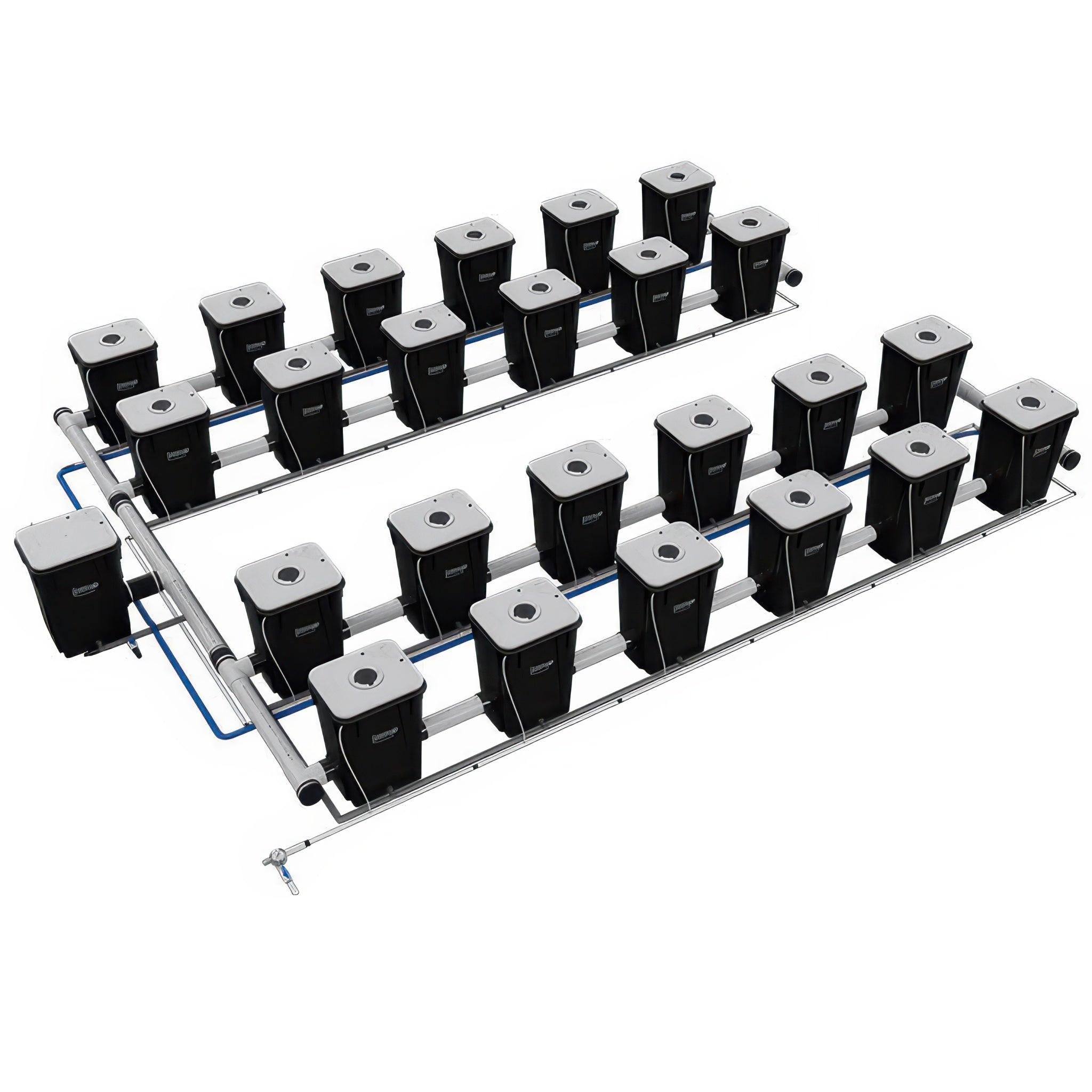 Current Culture Under Current UCXL13 RDWC System, 24-Site, 4-Row