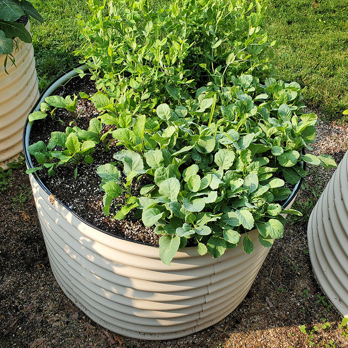 Vego Garden 32 Inch Tall 42 Wide Round Metal Raised Garden Bed - British Green