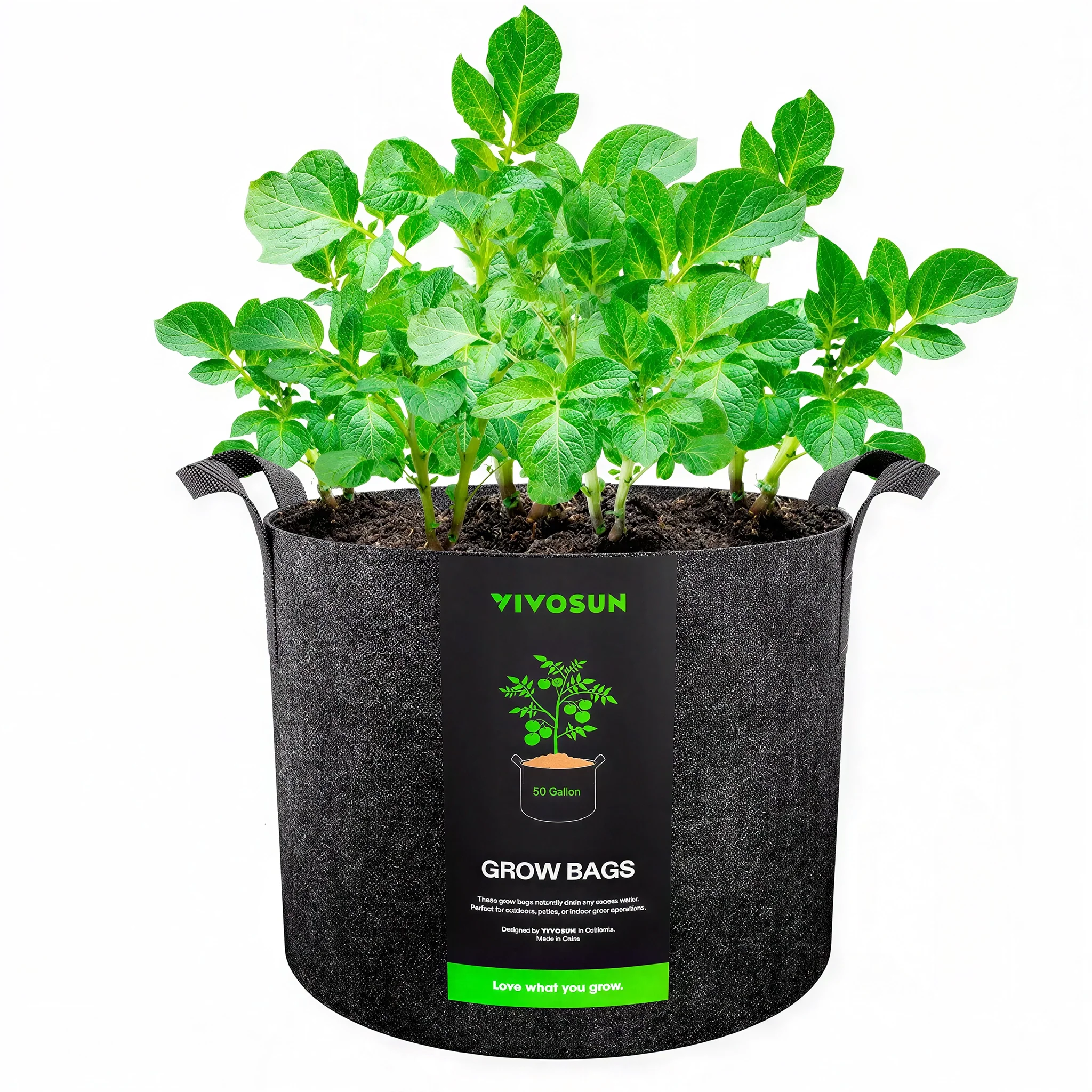 Vivosun Thick Nonwoven Fabric Pot with Handles, 50 Gallon
