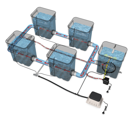 Deep Water Culture hydroponic system